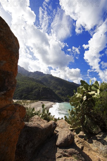 View of the pebble beach and Porto Bay, a UNESCO World Heritage Site, Ota, west coast of Corsica, Corse-du-Sud, Corsica, France