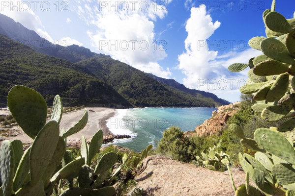 View of the pebble beach and Porto Bay, a UNESCO World Heritage Site, Ota, west coast of Corsica, Corse-du-Sud, Corsica, France