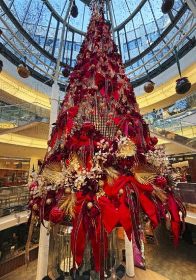 Schadow arcades, elegant shopping center with Christmas decorations and a large Christmas tree spread over several floors, Düsseldorf, Germany