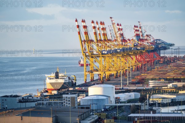 MSC and Eurogate container terminal in the seaport of Bremerhaven, Eurogate container terminal with almost 50 container bridges, cranes, over a length of over 4 km at the mouth of the Weser, Bremerhaven, Bremen, Germany