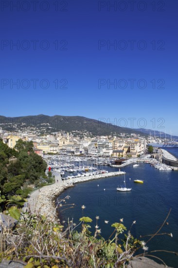View from the citadel of the old port with marina and church of Saint Jean-Baptiste à Bastia or church of St. John the Baptist, Port de Plaisance or Vieux Port, old town, Bastia, Haute-Corse department, Corsica, France