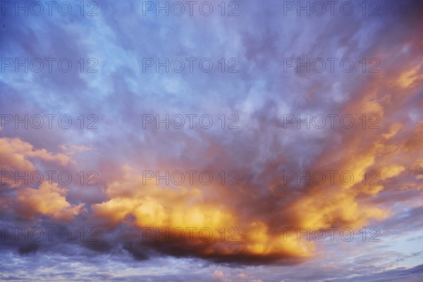 Stratocumulus cloud, cumulus clouds, blue sky, evening light, Windmühlenweg, Gronau, Münsterland, Borken District, North Rhine-Westphalia, Germany
