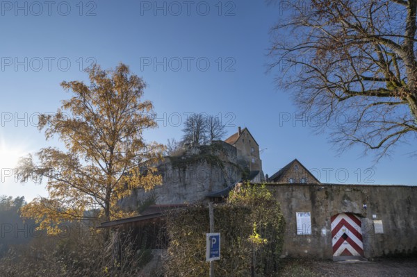 Autumnal birch (Betula) in front of Pottenstein Castle, created around 1070, Pottenstein, Upper Franconia, Bavaria, Germany