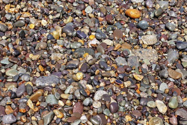 A variety of colorful pebbles of various shapes and colors form a natural texture. The colorful gravel on the beach on the coast near Lima in Peru