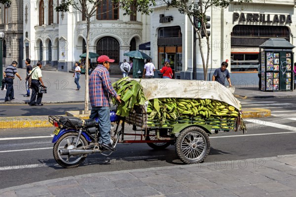 Motorcycle trailer loaded with bananas on a busy city street at an intersection, a man on a motorcycle with a load of bananas in downtown Lima in Peru