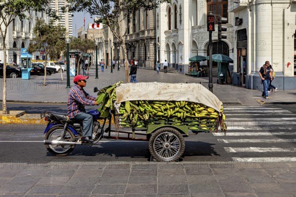 Person on motorcycle with trailer full of bananas in an urban setting at an intersection, a man on a motorcycle with a load of bananas in downtown Lima in Peru