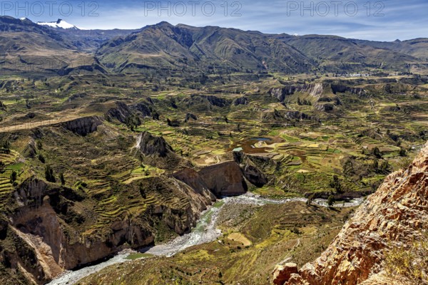 Terraced fields and a river surrounded by mountains under clear skies, the landscape of the Colca Canyon in the Andes of Peru