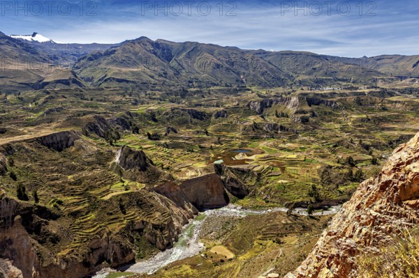 Landscape with terraces, mountains and a river under a blue sky, The landscape of the Colca Canyon in the Andes of Peru