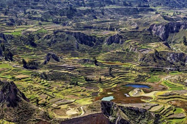 Landscape with terraced fields surrounded by mountains and a small lake under cloudy sky, The landscape of the Colca Canyon in the Andes of Peru