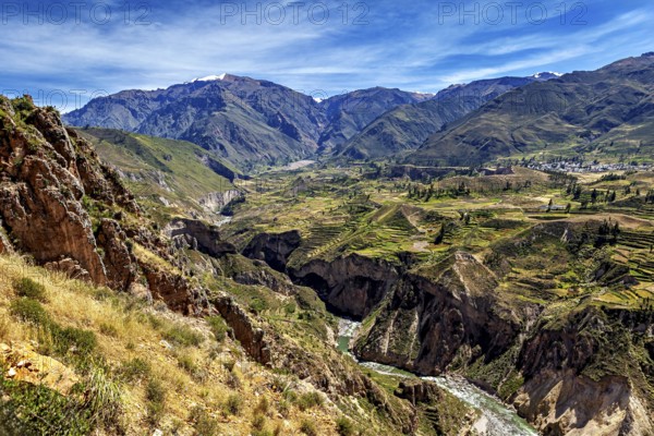Deep gorge with river and terraced fields in the mountains, The landscape of the Colca Canyon in the Andes of Peru