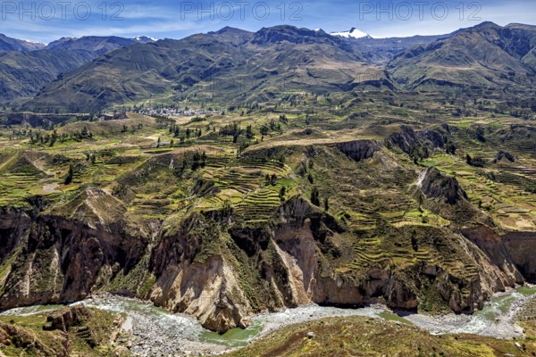 Terraced landscape with river and mountains under blue sky, The landscape of the Colca Canyon in the Andes of Peru