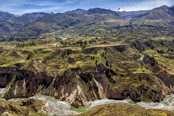 Mountain landscape with many terraces and a river under clear sky, The landscape of the Colca Canyon in the Andes of Peru