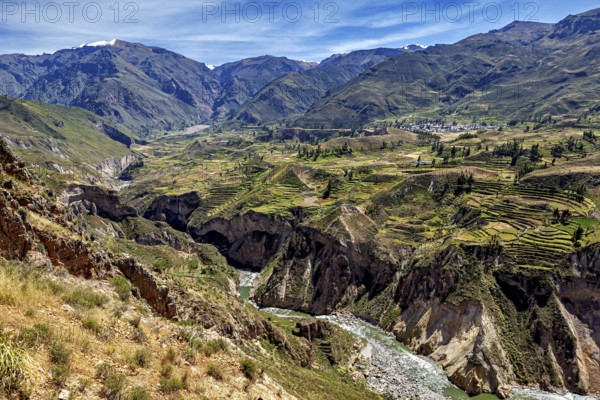 Valley with terraced fields surrounded by mountains and a river, The landscape of the Colca Canyon in the Andes of Peru