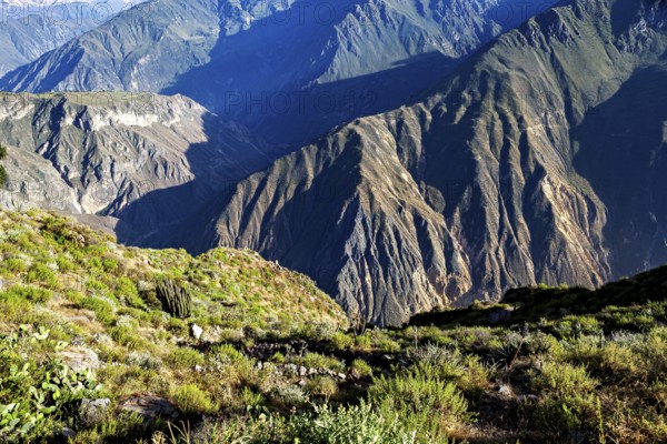 Steep mountain valleys with lush vegetation and distinctive shadows, the landscape of the Colca Canyon in the Andes of Peru