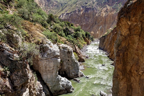 Natural canyon with a green river between rocks, The landscape of the Colca Canyon in the Andes of Peru