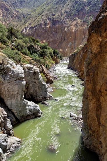 River with green water surrounded by steep rock faces, The landscape of the Colca Canyon in the Andes of Peru