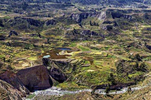 Large-scale view of terraced fields in a vast mountain landscape with a river, The landscape of the Colca Canyon in the Andes of Peru