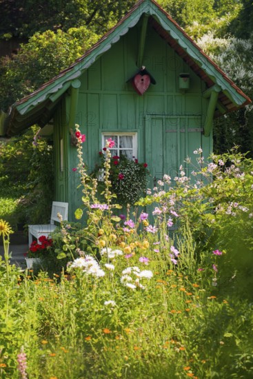 Green garden shed and summer flower garden, allotment garden, Meersburg, Lake Constance, Baden-Württemberg, Germany