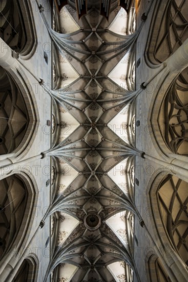 Cross-ribbed vaulting in the church of St. Nikolaus, Überlingen, Lake Constance, Baden-Württemberg, Germany
