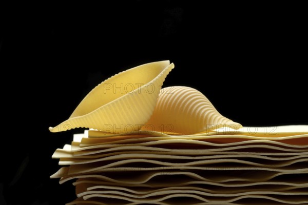 Uncooked lasagna leaves and mussel noodles, conchiglione