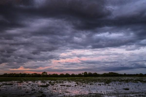 Dramatic cloud atmosphere over flooded wetlands with wind turbines in the background and bright shades of orange and blue in the sky, Dümmer nature park Park, Lower Saxony, Germany