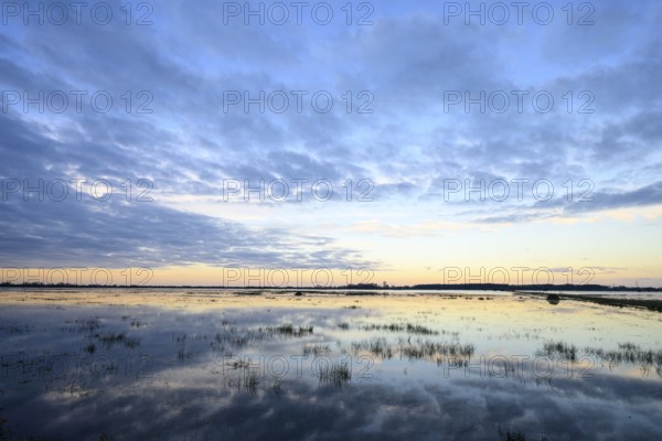 Wide water landscape with cloudy sky at sunset Moist meadows in Ochsenmoor during high tide, Dümmer nature park Park, Lower Saxony, Germany