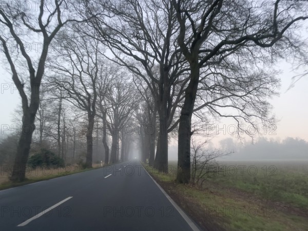 Driver's perspective view of foggy, foggy country road with trees next to the road in thick fog in winter, Germany