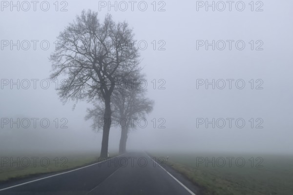 Driver's perspective view of foggy, foggy country road in thick fog in winter, Germany