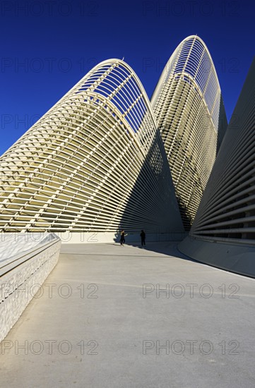 Zayed National Museum in Abu Dhabi, memorial to the late Zayed bin Sultan Al Nahyan, the museum is the heart of the cultural district on Saadiyat Island, architecture on the roof of the museum, Abu Dhabi, United Arab Emirates