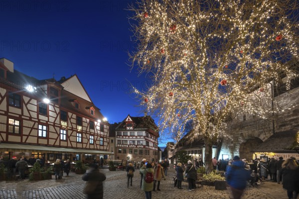 The historic Dürerhaus, Christmass-lit tree on the right, Beim Tiergärtnertor, Nuremberg, Middle Franconia, Bavaria, Germany