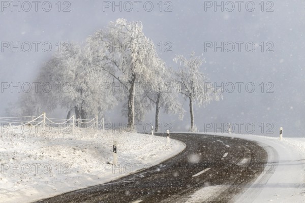 Winter in the Swabian Jura. Country road with snowy landscape near Westerheim, Alb-Donau-Kreis, Baden-Württemberg, Germany