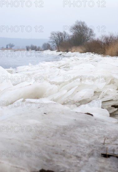 The banks of the Elbe in winter with a thick layer of ice, bare trees and reeds in a cool environment, grey sky, silence, atmosphere, stacked ice floes, ice, grey, icy river, river landscape, river regulation, freezing, frost, water, grey, season, cold, landscape, nature, northern Germany, lock, barrier, water, winter, Landscape, Elbe in front of the Geesthacht barrage in winter, Lower Saxony, Germany