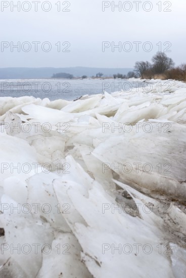 The banks of the Elbe in winter with a thick layer of ice, bare trees and reeds in a cool environment, grey sky, silence, atmosphere, stacked ice floes, ice, grey, icy river, river landscape, river regulation, freezing, frost, water, grey, season, cold, landscape, nature, northern Germany, lock, barrier, water, winter, Landscape, Elbe in front of the Geesthacht barrage in winter, Lower Saxony and Schleswig-Holstein, Germany