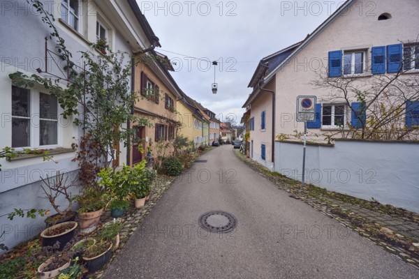 Residential buildings, multi-family houses, façade with windows and trellises, flower pots, trellises, cloudy, diffuse light, alleyway St.-Johannesgasse, Staufen im Breisgau, Black Forest, Breisgau-Hochschwarzwald district, Baden-Württemberg, Germany