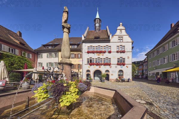Market fountain, planters with sweet potato (Ipomoea batatas), historic town hall, general architecture, houses, cobblestone square, outdoor area of a restaurant, café town hall café, trees, blue sky, cumulus clouds, intersection of main street and Kirchstraße, Staufen im Breisgau, Black Forest, Breisgau-Hochschwarzwald district, Baden-Württemberg, Germany