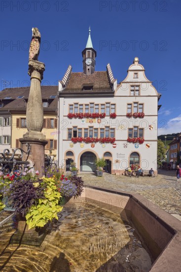 Market fountain, planters with sweet potato (Ipomoea batatas), historic town hall, general architecture, houses, cobblestone square, trees, blue sky, cumulus clouds, intersection of main street and Kirchstraße, Staufen im Breisgau, Black Forest, Breisgau-Hochschwarzwald district, Baden-Württemberg, Germany