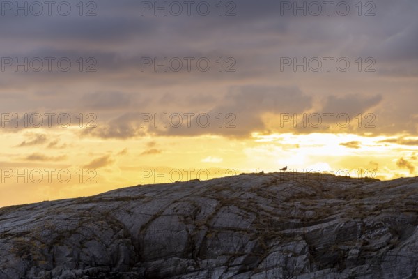 Sunset on the Atlantic Road, Atlanterhavsveien, Karvag, Vevang, West Coast, Norway