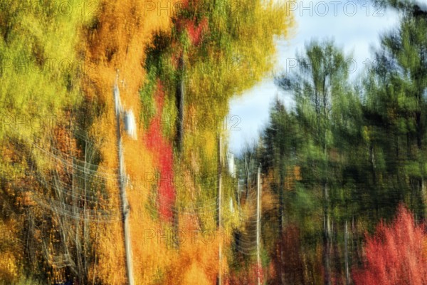 Autumn leaves, Indian summer, power poles, long exposure, abstract, illustration, Maine, New England, USA