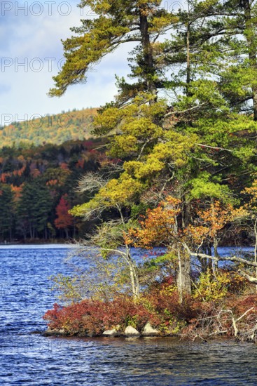 Lakeside, autumn leaves, Indian summer, wilderness, Maine, New England, USA