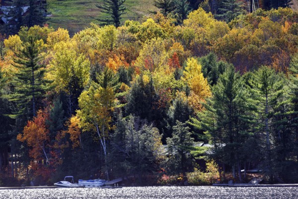 Cottage on the shore of a lake, motor boat, boat dock, autumn leaves, Indian Summer, Maine, New England, USA