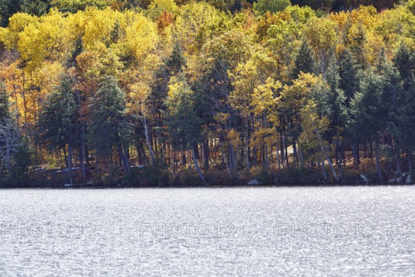 Lakeside, pond, autumn leaves, Indian summer, Maine, New England, USA