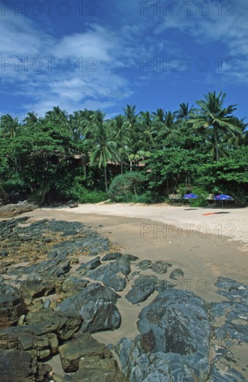 Umbrellas, palm beach at The Narima Resort on the island of Ko Lanta, Thailand, December 2002, vintage, retro, old, historic