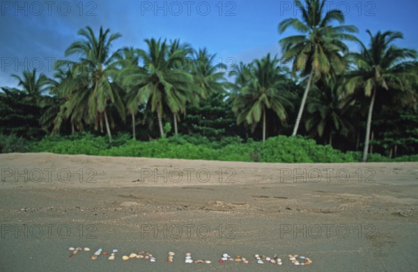 Palm trees, Thailand with shells written in the sand on the island of Ko Lanta, Thailand, December 2002, vintage, retro, old, historic