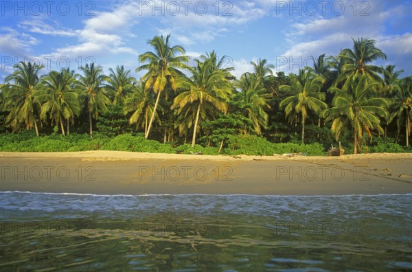Coconut trees, beach on the island of Ko Lanta, Thailand, December 2002, vintage, retro, old, historic
