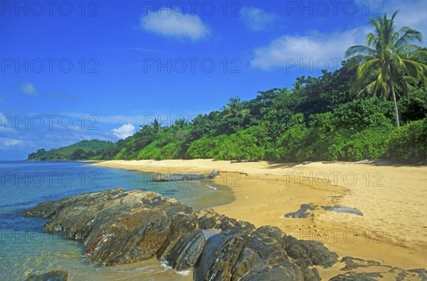Palm tree, secluded beach on the island of Ko Lanta, Thailand, December 2002, vintage, retro, old, historic