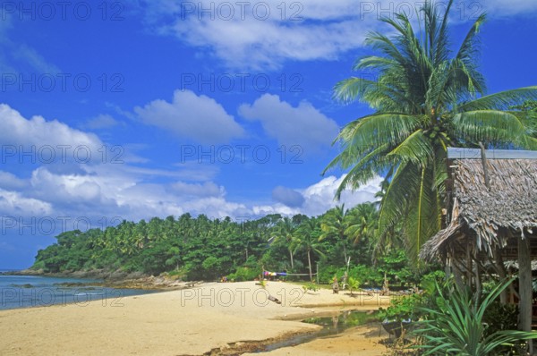 Palm tree, cabin, beach at Coral Beach Resort on the island of Ko Lanta, Thailand, December 2002, vintage, retro, old, historic