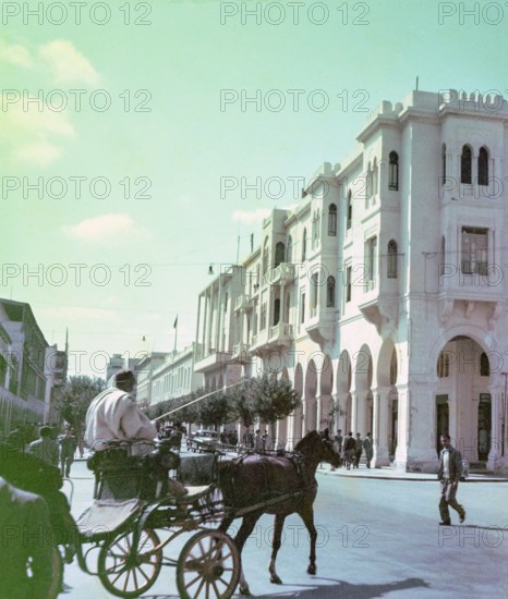 Horse and carriage in city street next to Palazzo Nahum, Italian colonial architecture building, Tripoli, Libya, North Africa 1956