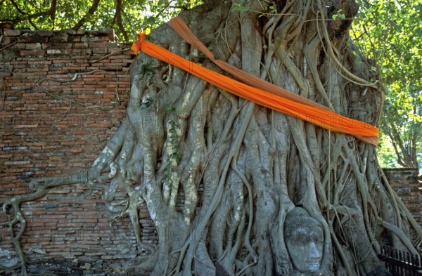 Roots, Buddha head ingrown in tree, Wat Mahatat, Ayutthaya, Thailand, December 2002, vintage, retro, old, historical