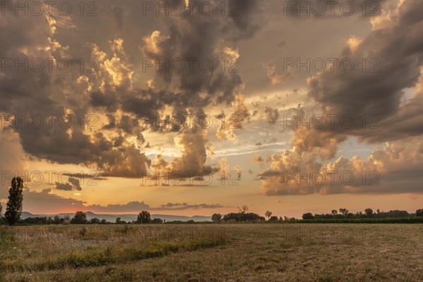 A brilliant sunset casts warm colors across a cheerful meadow. Dark clouds dominate the sky, while golden light penetrates and creates a dramatic and peaceful atmosphere. Bas Rhin, Alsace, France