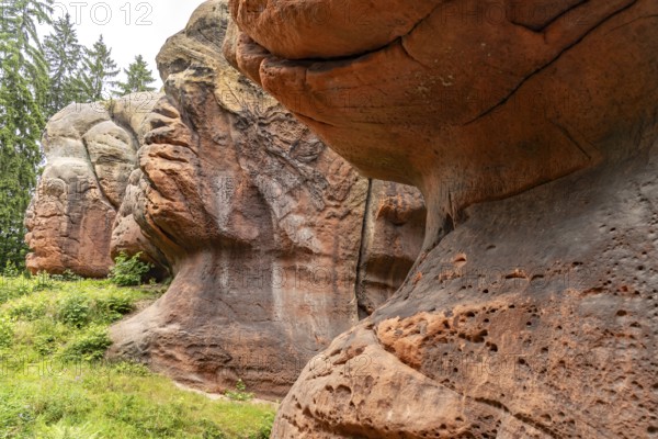 Kelchsteine natural monument near Oybin, Zittau Mountains, Upper Lusatia, Saxony, Germany